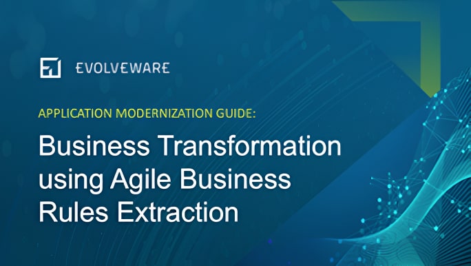 Image for Extracting Business Rules with software reverse engineering tool